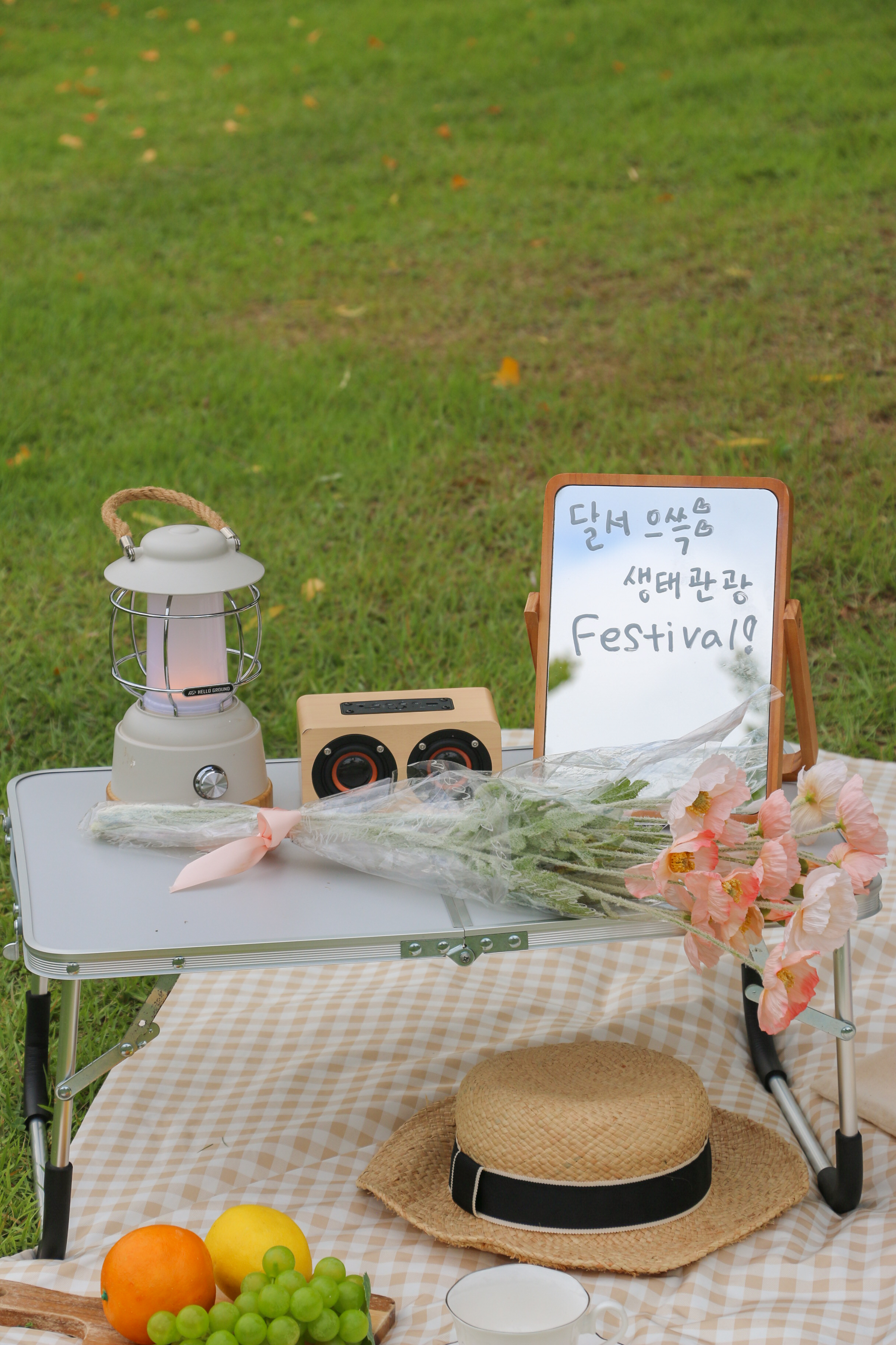 피크닉 이미지